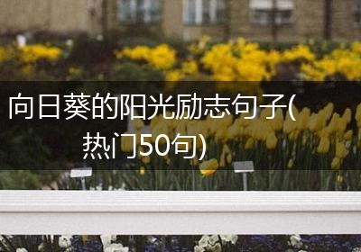 向日葵的阳光励志句子(热门50句)