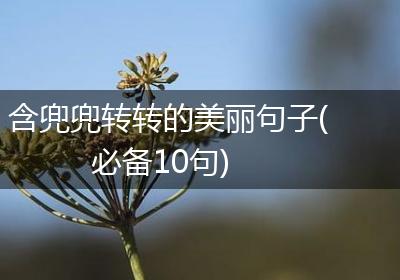 含兜兜转转的美丽句子(必备10句)