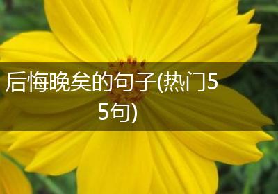 后悔晚矣的句子(热门55句)