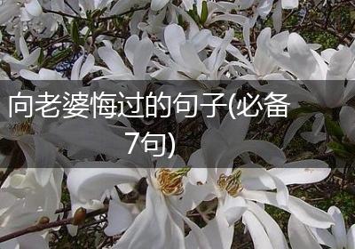 向老婆悔过的句子(必备7句)