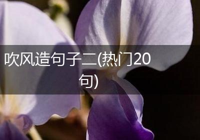 吹风造句子二(热门20句)