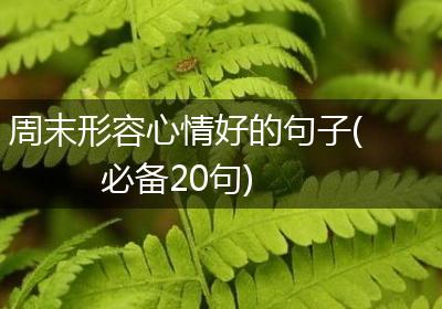 周末形容心情好的句子(必备20句)