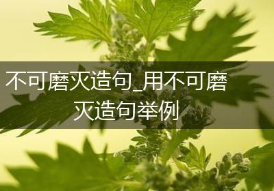 不可磨灭造句_用不可磨灭造句举例