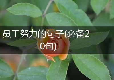 员工努力的句子(必备20句)