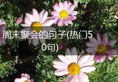 周末聚会的句子(热门50句)