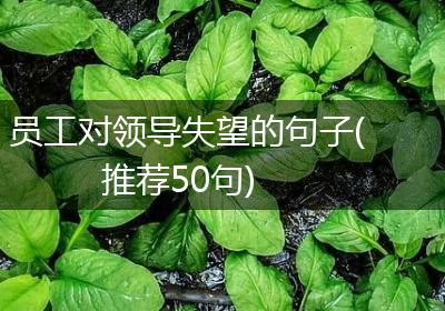 员工对领导失望的句子(推荐50句)