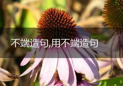 不端造句,用不端造句