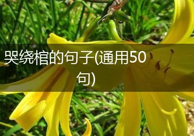 哭绕棺的句子(通用50句)