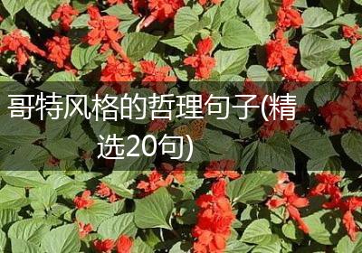哥特风格的哲理句子(精选20句)