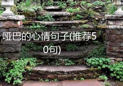 哑巴的心情句子(推荐50句)