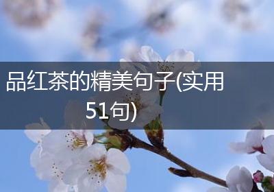品红茶的精美句子(实用51句)