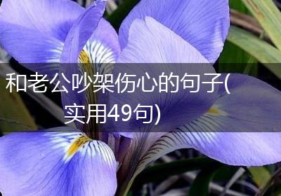 和老公吵架伤心的句子(实用49句)