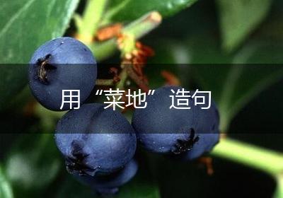 用“菜地”造句
