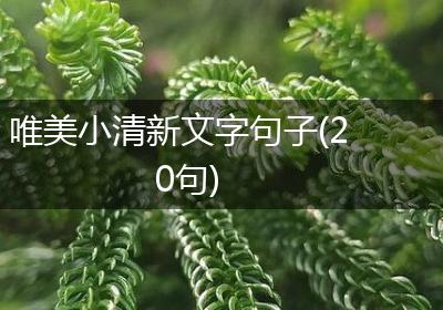 唯美小清新文字句子(20句)