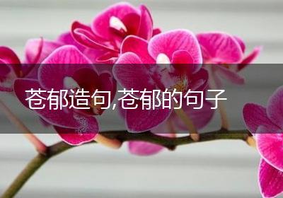 苍郁造句,苍郁的句子