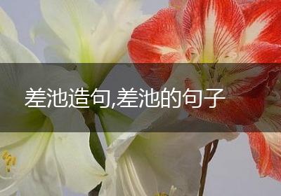 差池造句,差池的句子