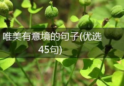 唯美有意境的句子(优选45句)