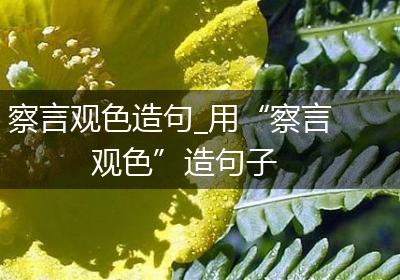 察言观色造句_用“察言观色”造句子