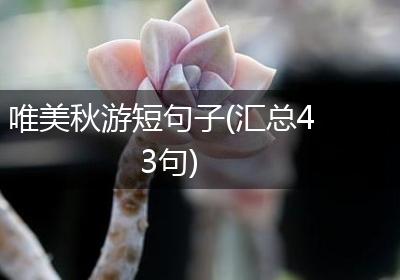 唯美秋游短句子(汇总43句)