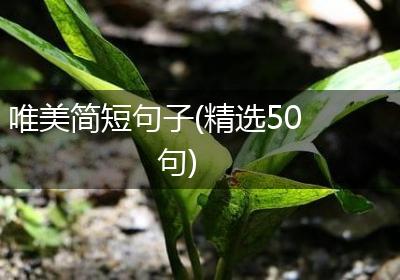 唯美简短句子(精选50句)