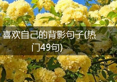 喜欢自己的背影句子(热门49句)