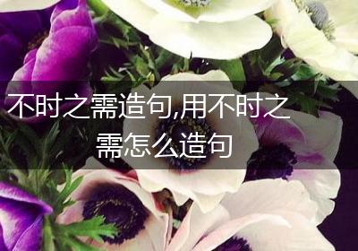 不时之需造句,用不时之需怎么造句