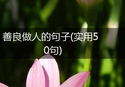 善良做人的句子(实用50句)