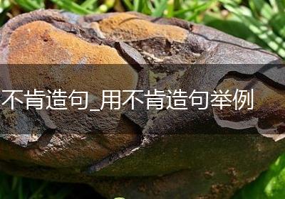 不肯造句_用不肯造句举例