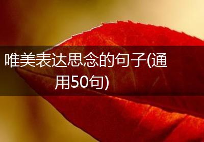 唯美表达思念的句子(通用50句)