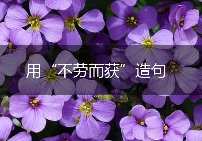用“不劳而获”造句