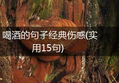 喝酒的句子经典伤感(实用15句)