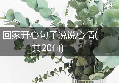 回家开心句子说说心情(共20句)