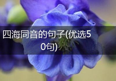 四海同音的句子(优选50句)
