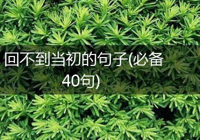 回不到当初的句子(必备40句)