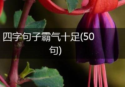四字句子霸气十足(50句)