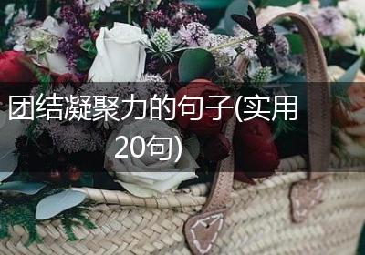 团结凝聚力的句子(实用20句)
