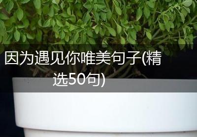 因为遇见你唯美句子(精选50句)