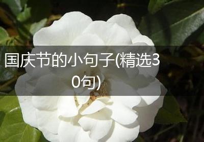 国庆节的小句子(精选30句)