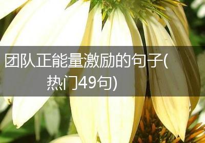 团队正能量激励的句子(热门49句)