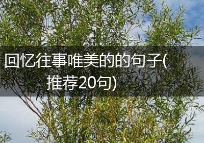 回忆往事唯美的的句子(推荐20句)