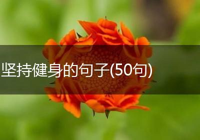 坚持健身的句子(50句)