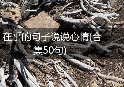 在乎的句子说说心情(合集50句)