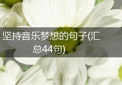 坚持音乐梦想的句子(汇总44句)