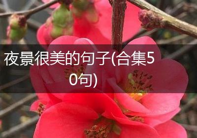 夜景很美的句子(合集50句)
