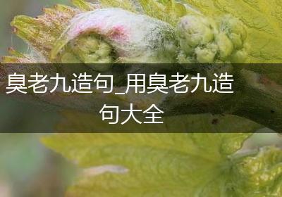 臭老九造句_用臭老九造句大全