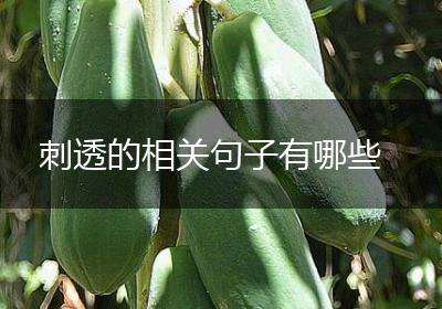 刺透的相关句子有哪些