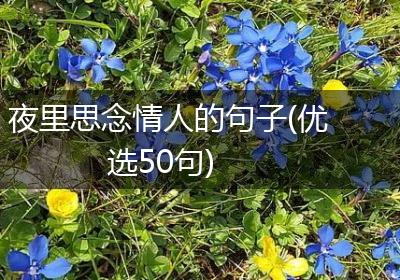 夜里思念情人的句子(优选50句)