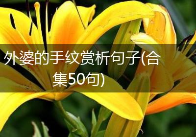 外婆的手纹赏析句子(合集50句)