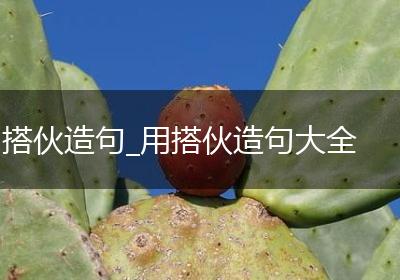 搭伙造句_用搭伙造句大全