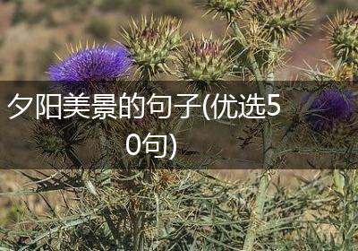 夕阳美景的句子(优选50句)